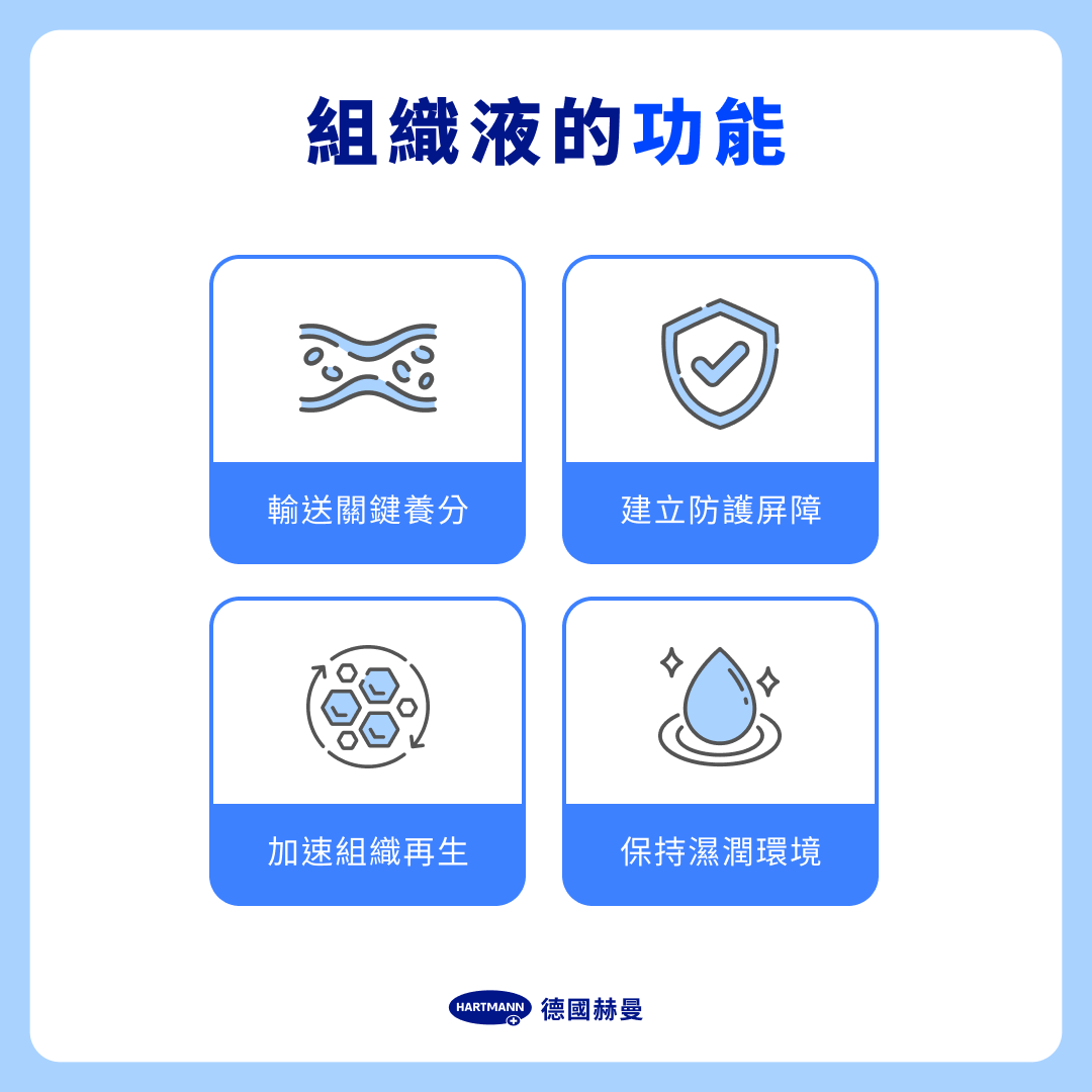 組織液的功能